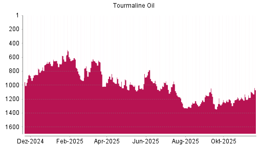 BOTSI®-Advisor Hochstufung Tourmaline Oil von Rang 1338 auf ...