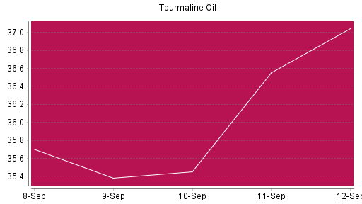 BOTSI®-Advisor Hochstufung Tourmaline Oil von Rang 792 auf Rang 787