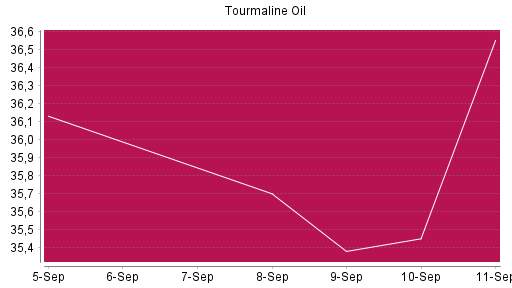 BOTSI®-Advisor Abstufung Tourmaline Oil von Rang 761 auf Rang 805