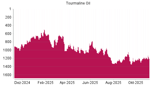 BOTSI®-Advisor Hochstufung Tourmaline Oil von Rang 1041 auf ...