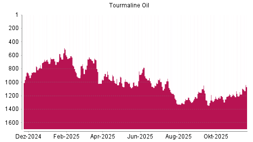 BOTSI®-Advisor Hochstufung Tourmaline Oil von Rang 1092 auf ...